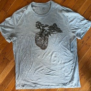 Icebreaker merino tee